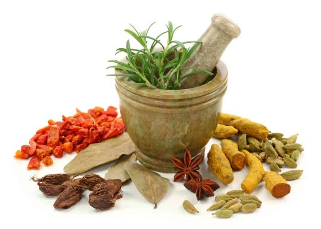 Herbal Diet Supplement